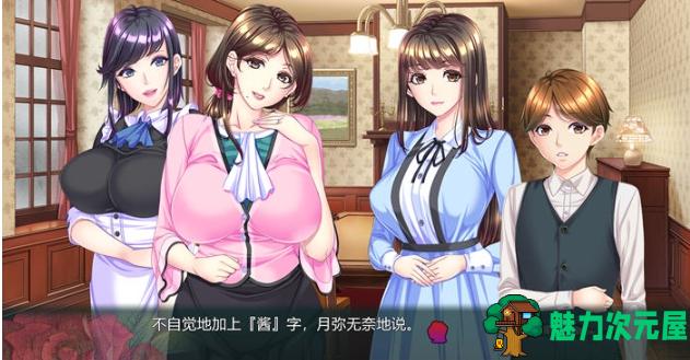 【PC/AI汉化版/ADV游戏/全CG/2.44G】蠢妇:微弱的滴落声 AI汉化版+ADV游戏+全CG+2.44G