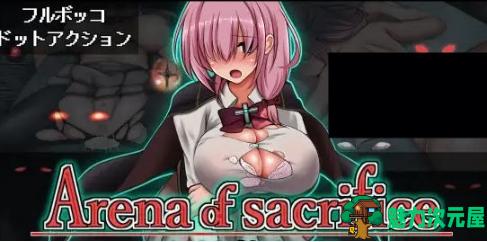 【PC/日文版/横版/动作/冒险/ACT游戏/291M】献祭竞技场(Arena of sacrifice) 日文版+横版ACT动作冒险游戏+291M-魅力次元屋