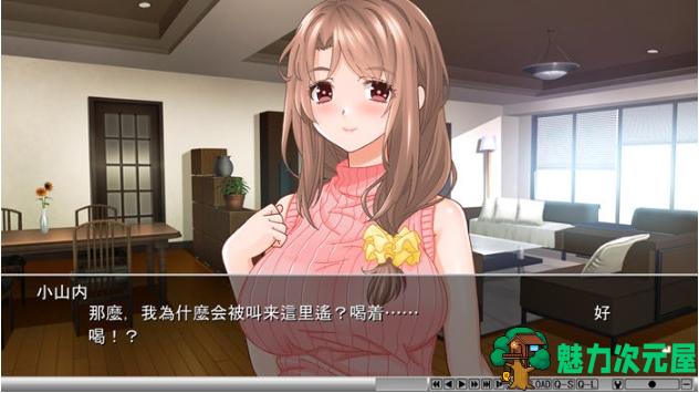 【PC/AI汉化版/ADV游戏/全CG/全CV/1.10G】通过心疗法变成宝宝 AI汉化版+ADV游戏+全CG存档+全CV+1.10G
