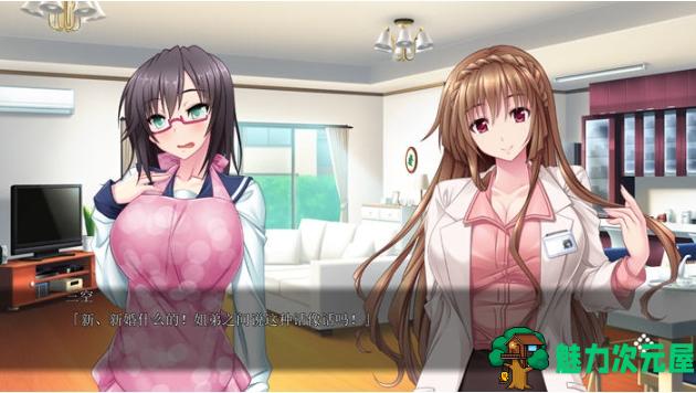 【PC/AI汉化版/ADV游戏/全CG/2.38G】过度保护我且热情的姐姐们 AI汉化版+ADV游戏+全CG存档+2.38G