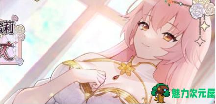 【PC/官中/模拟养成/SLG游戏/1.68G】圣女艾蜜莉(Saint Emily) STEAM官方中文版+模拟养成SLG游戏+1.68G-魅力次元屋