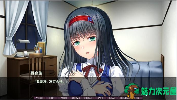 【PC/AI汉化版/ADV游戏/全CG/1.29G】魔女狩猎的失禁学园 AI汉化版+ADV游戏+全CG存档+1.29G