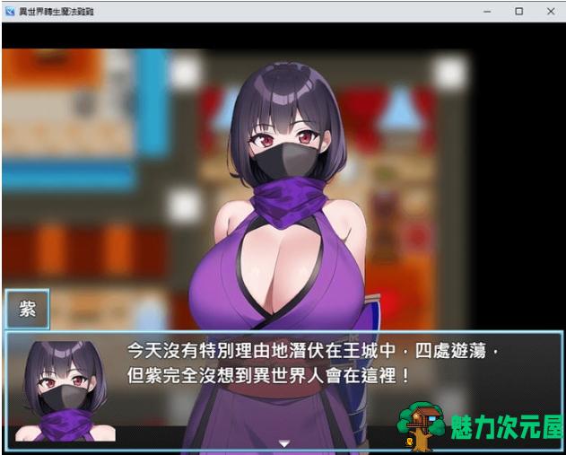 【PC/官中/RPG游戏/524M】魔法鸡鸡转生异世界 官方中文版+RPG游戏+524M