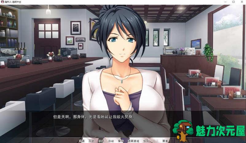 【安卓/PC/汉化版/1G/ADV/CG】人妻夺取：透明人为所欲为 精翻汉化版 PC+安卓+ADV拔作+全CG&补+1G