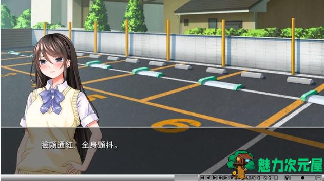 【PC/AI汉化版/ADV游戏/全CG/全CV/1.10G】通过心疗法变成宝宝 AI汉化版+ADV游戏+全CG存档+全CV+1.10G