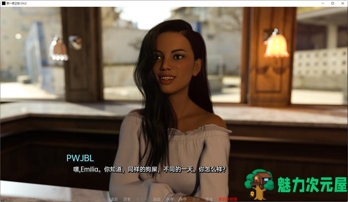 【PC/安卓/SLG游戏/5.58G】那一夜之后(After That Night) CH.8 汉化版+PC+安卓+动态SLG游戏+5.58G