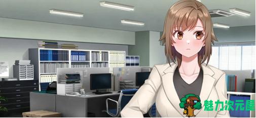 【PC/AI汉化版/ADV游戏/全CG/1.62G】名流高档公寓 AI汉化版+ADV游戏+全CG存档+1.62G-魅力次元屋
