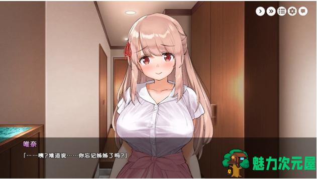 【PC/官中/SLG游戏/1.93G】姐姐大人唯奈浓情蜜意的全肯定 STEAM官方中文版+SLG游戏+1.93G