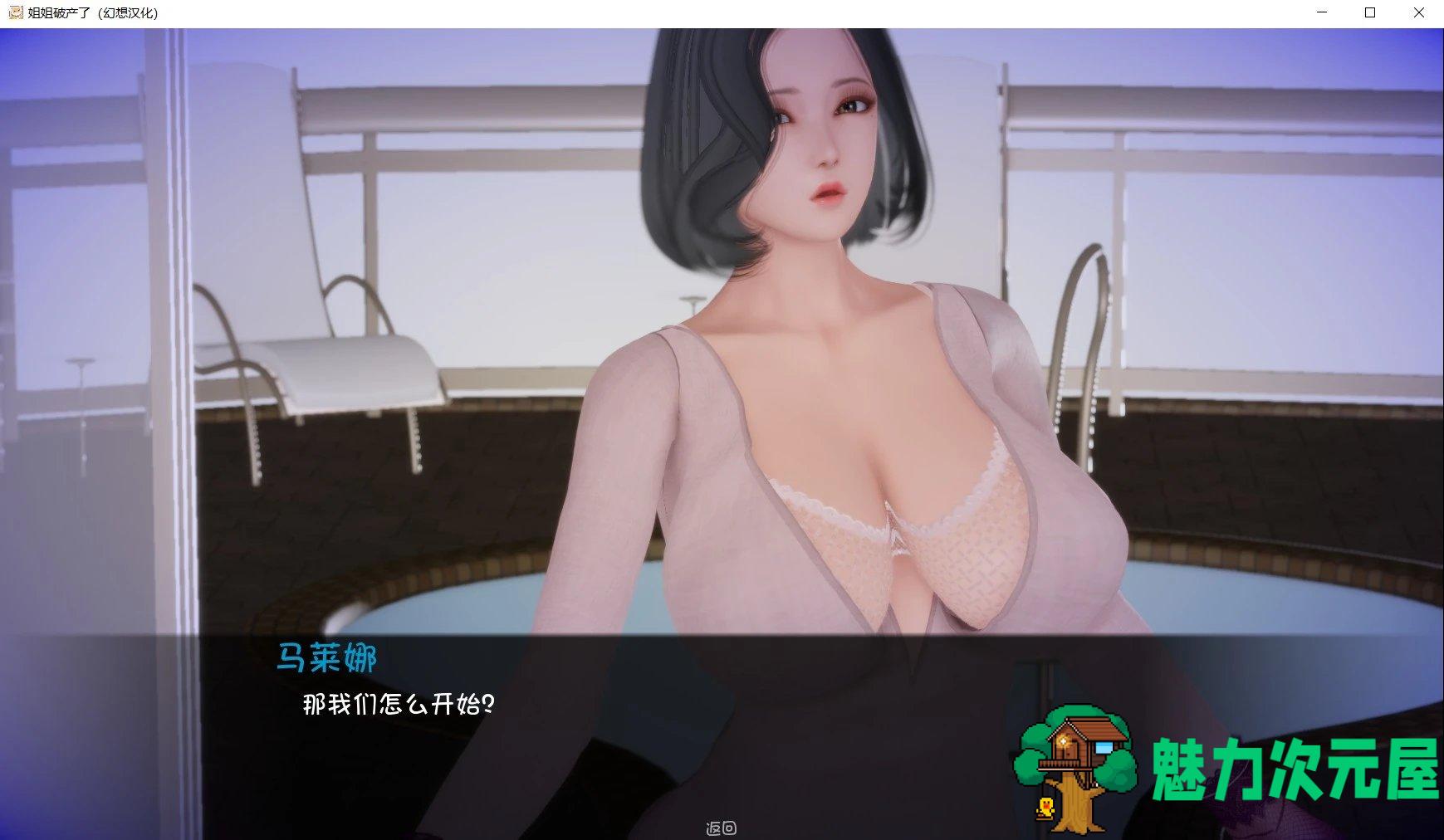 【安卓/PC/汉化版/中文/3.3G】姐姐破产了/混球/姐破产了(Ass hole) Ver1.0  最新汉化版 PC+安卓+hack+国风大作游戏&补+3.3G