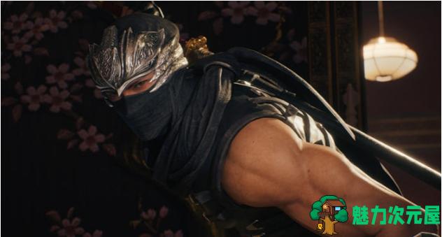 【PC/官中/忍者/动作游戏/81.0G】忍者龙剑传2:黑之章 STEAM官方中文版+忍者动作游戏+81.0G