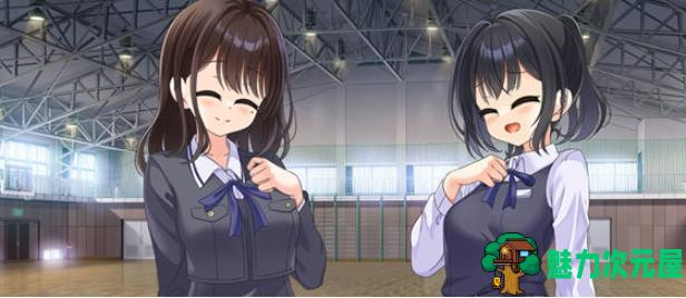 【PC/汉化版/ADV/2.70G】劳伦行:新教员劳务伦理行动综合审查 Ver1.0 机翻汉化版+ADV游戏+2.70G-魅力次元屋