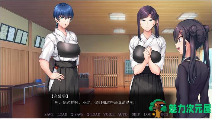 【PC/AI汉化版/ADV游戏/5.01G】恋人秘诀指导 (Secret Lesson) Ver1.1 AI汉化版+ADV游戏+5.01G