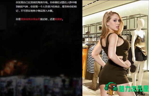【PC/真人/HTML/完结版/1.3G】梦魇之城/都市恶魔(Incubus City) Ver1.11.7 欧美HTML中翻+完结版+真人互动+&补更+1.3G-魅力次元屋