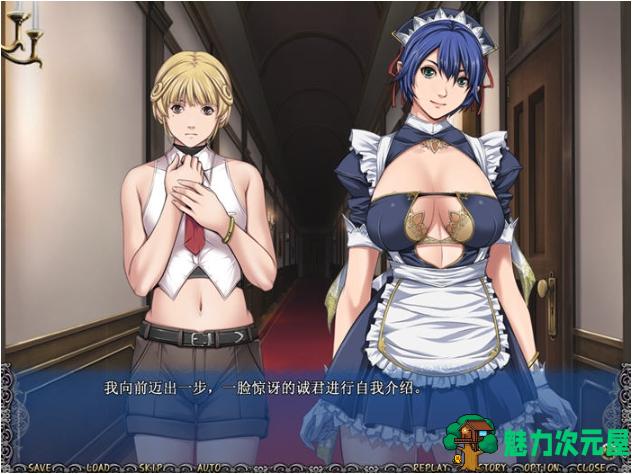 【PC/精翻/汉化版/合集/ADV游戏/9.85G】SLEEPLESS三部曲 精翻汉化合集+不眠之夜+仲夏+背德+ADV游戏+9.85G