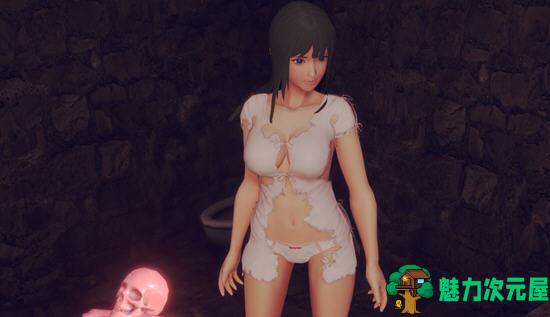 【PC/安卓/全动态/动作游戏/3D】PainRein Ver0.57 官方中文 3D动作冒险游戏&补更+10.2G-魅力次元屋