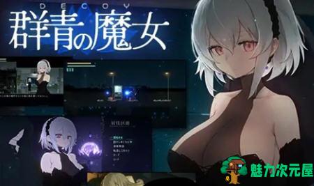 【PC/中文/1.3G/RPG】DECOY群青的魔女 Ver1.03 步兵版+STEAM官中+存档+2D像素动作RPG游戏&补更+1.3G-魅力次元屋