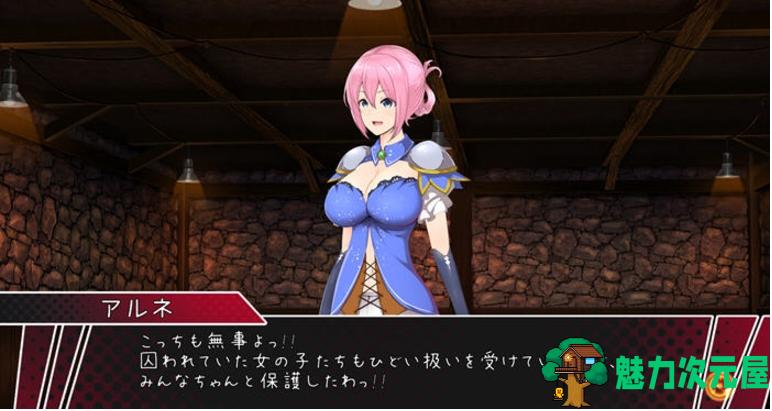 【PC/日文原版/ACT/4.20G】圣骑士阿尔内与魔芸的咒印 Ver1.0 日文原版+ACT动作冒险游戏+4.20G