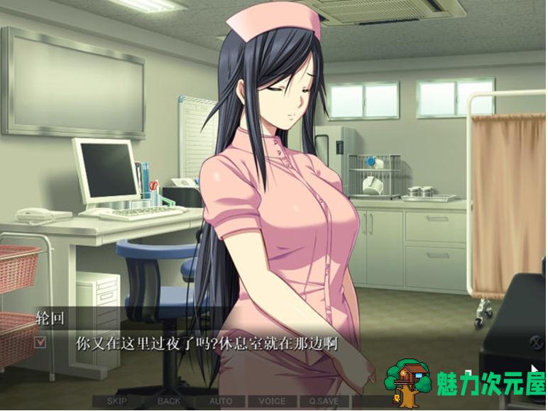 【PC/汉化版/CG/ADV/2.0G】禁断的病栋:特殊精神科诊疗记录 AI汉化版+ADV游戏+全CG存档+全CV+2.0G