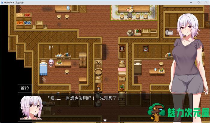 【PC/安卓/AI汉化版/RPG游戏/1.01G】混血奴(Hybrislave) Ver1.0 内置AI汉化版+PC+安卓+RPG游戏 1.01G