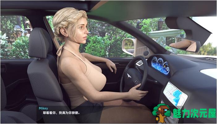 【PC/安卓/汉化版/沙盒/SLG游戏/1.01G】淑女之谜 Ver0.0.5 汉化版+PC+安卓+动态沙盒SLG游戏+1.01G