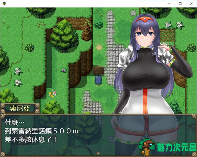 【PC/中文/RPG】索尼亚与银欲之村2 官方中文版 探索RPG游戏+全回想+补+750M