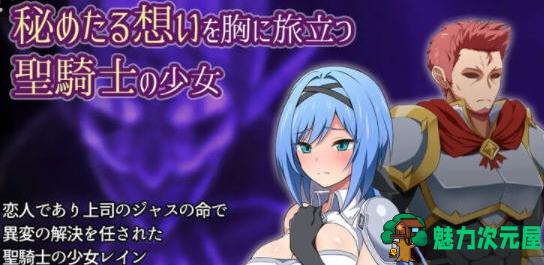 【PC/安卓/官中/RPG游戏/1.32G】梦魇骑士:圣洁少女与堕落魔法 STEAM官方中文版+PC+安卓+RPG游戏+1.32G-魅力次元屋