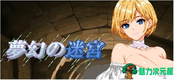 【PC/安卓/AI汉化版/正式版/RPG游戏/1.80G】梦幻的迷宫 Ver1.0 内置AI汉化正式版+PC+安卓+RPG游戏+1.80G-魅力次元屋