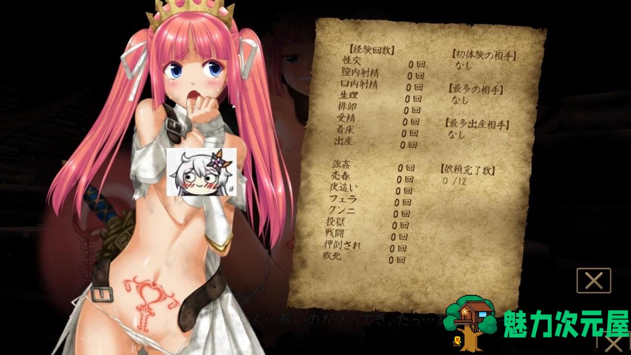 【PC/互动探索3D/汉化/全动态/1.4G】 零落姬骑士阿纳蒂亚：不论什么种族都能的银纹诅咒/安娜斯忒娅 3D动态+动态+1.4G
