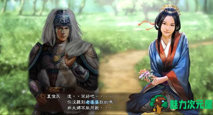 【PC/中文/MOD/策略游戏/20G】三国志13 加强中文整合版 绅士MOD合集+武将图+语音 策略游戏&补+20G