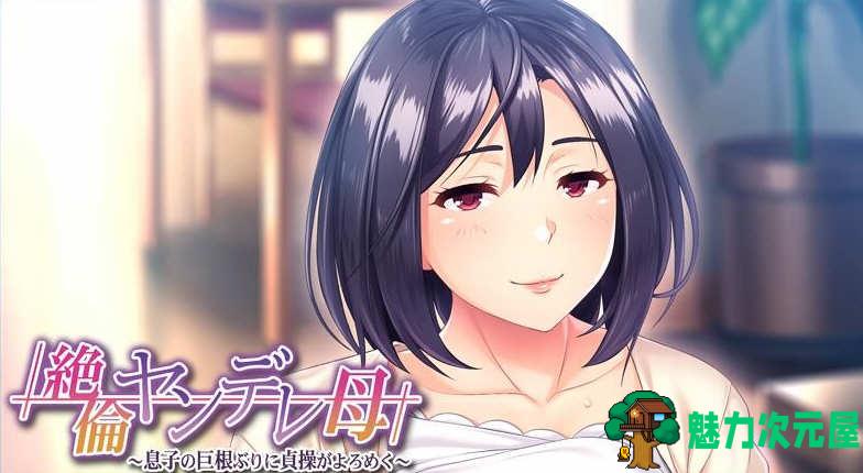 【PC/汉化版/CG】傲娇的母亲被儿子的无情打败！云翻汉化版+CG&补+500M-魅力次元屋