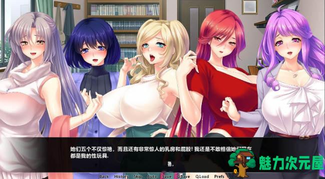 【安卓/PC/汉化版/ADV/CG/2.7G】魔法淑女：魔法少女战队 精翻汉化版 拔作ADV PC+安卓+CG&补+2.7G