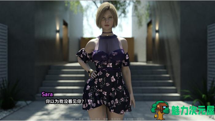 【PC/安卓/汉化版/SLG游戏/1.02G】随机应变 Ver1.0 汉化版+PC+安卓+动态SLG游戏+1.02G