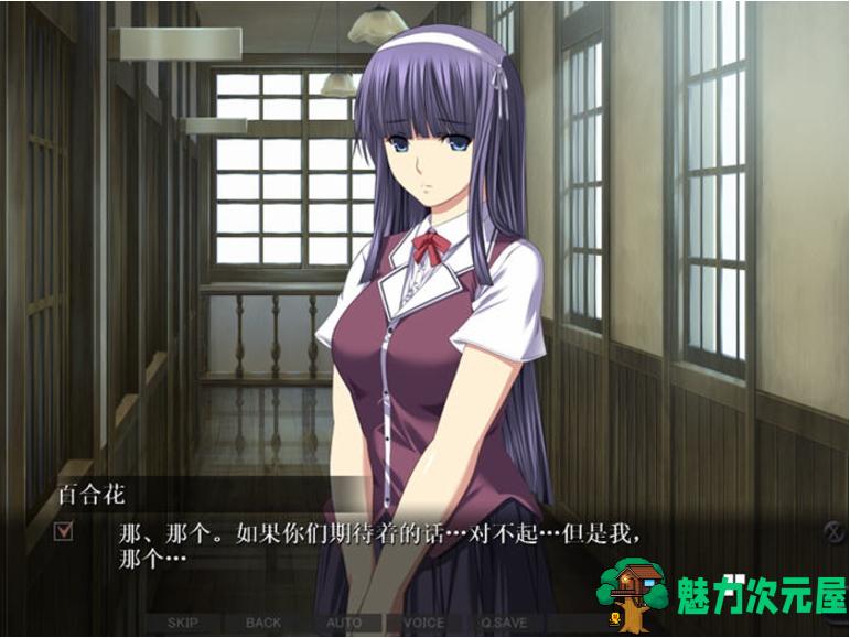 【PC/汉化版/CG/ADV/2.0G】禁断的病栋:特殊精神科诊疗记录 AI汉化版+ADV游戏+全CG存档+全CV+2.0G