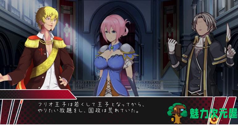【PC/日文原版/ACT/4.20G】圣骑士阿尔内与魔芸的咒印 Ver1.0 日文原版+ACT动作冒险游戏+4.20G