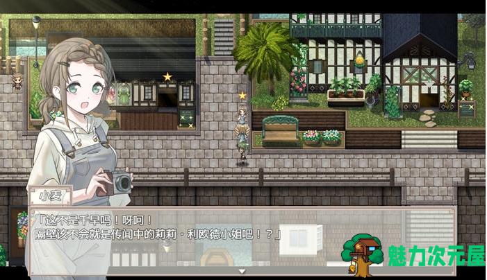 【PC/安卓/汉化版/RPG/800M】大小姐与杂货店老板 Ver1.0 内置AI汉化版+PC+安卓+RPG游戏+800M