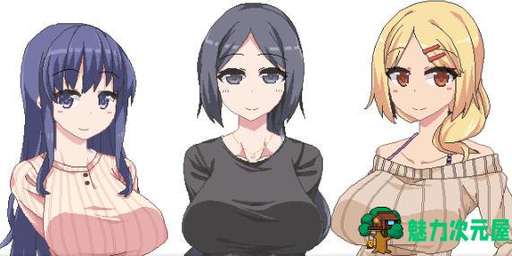 【安卓/PC/SLG/2.2G】冬日狂想曲 Ver1.04.2 STEAM官方中文步兵版+安卓+PC+像素SLG游戏&新玩法+3.6G-魅力次元屋