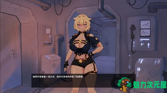 【PC/官中/射击/2.7G】铁娘子(Sexy.Iron.Maidens) Ver.091124_2 STEAM官方中文版+休闲射击游戏+2.7G