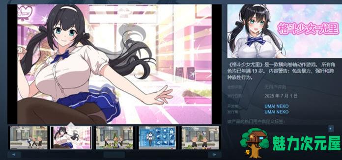 【PC/官中/格斗/横版】格斗少女尤里(Fighting Girl Yuri) STEAM官方中文版+横版动作清版游戏+200M