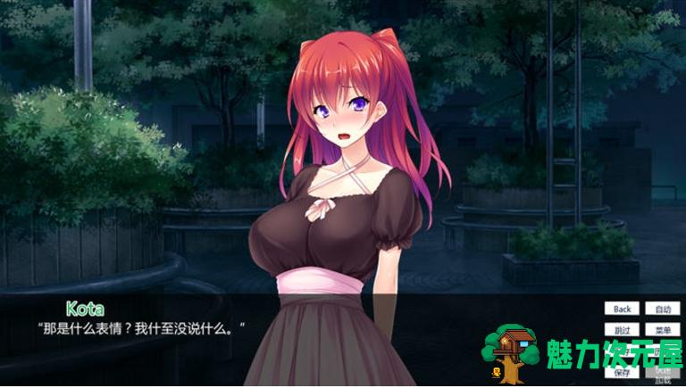 【PC/安卓/汉化版/ADV/1.40】傲娇偶像(Tsundere Idol) Ver1.02 汉化版+PC+安卓+ADV游戏+1.4G