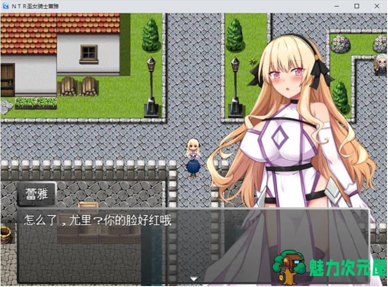 【PC/安卓/汉化版/RPG/1.10G】圣女骑士蕾雅:击败魔王之后 Ver1.02 AI汉化版+PC+安卓+RPG游戏+1.10G