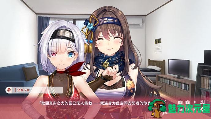 【PC/拔作ADV/女忍同居/动态/2.0G】女忍同居生活(NinNinDay) 1+2部 Ver1.00 STEAM官方中文版+ADV游戏大作+2.0G
