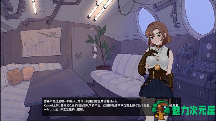 【PC/官中/射击/2.7G】铁娘子(Sexy.Iron.Maidens) Ver.091124_2 STEAM官方中文版+休闲射击游戏+2.7G