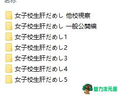 【PC/SLG】试胆大会:女校勤务员5(女子校生肝だめし) 1-5合集+2番外+云翻汉化完全版+SLG游戏+DLC+3.3G