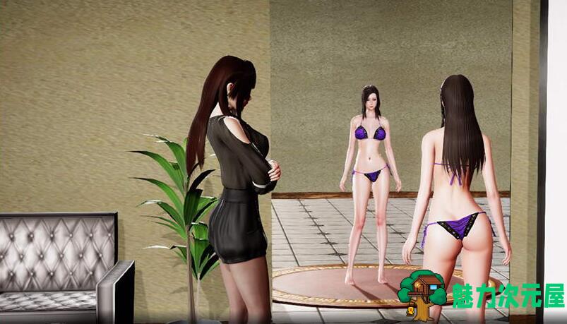 【安卓/PC/中文/定制版/RPG/3.9G】风骚人生 Ver3.4+最新全DLC完整定制版+全CG存档+作弊+PC+安卓+国产RPG+3.9G