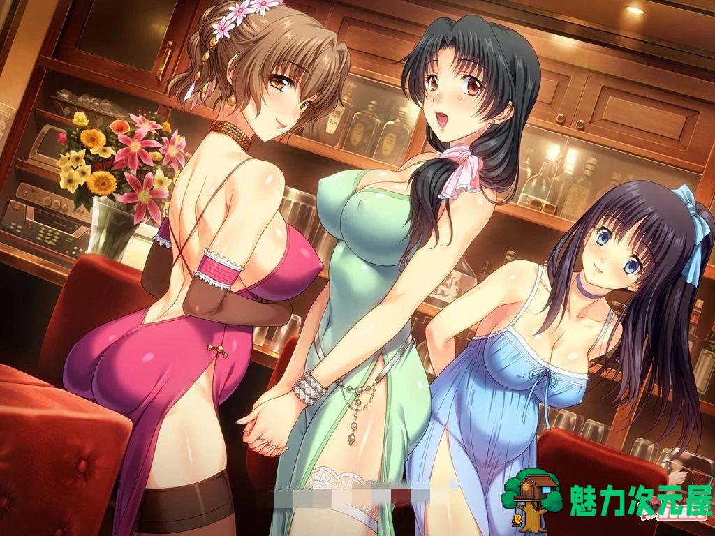 【PC/汉化版/中文/CG】 妻中蜜（1+2+3 合集）完整汉化版+全CG存档+1-3全动画 整合/NTR大作/佳作SLG/7.2G