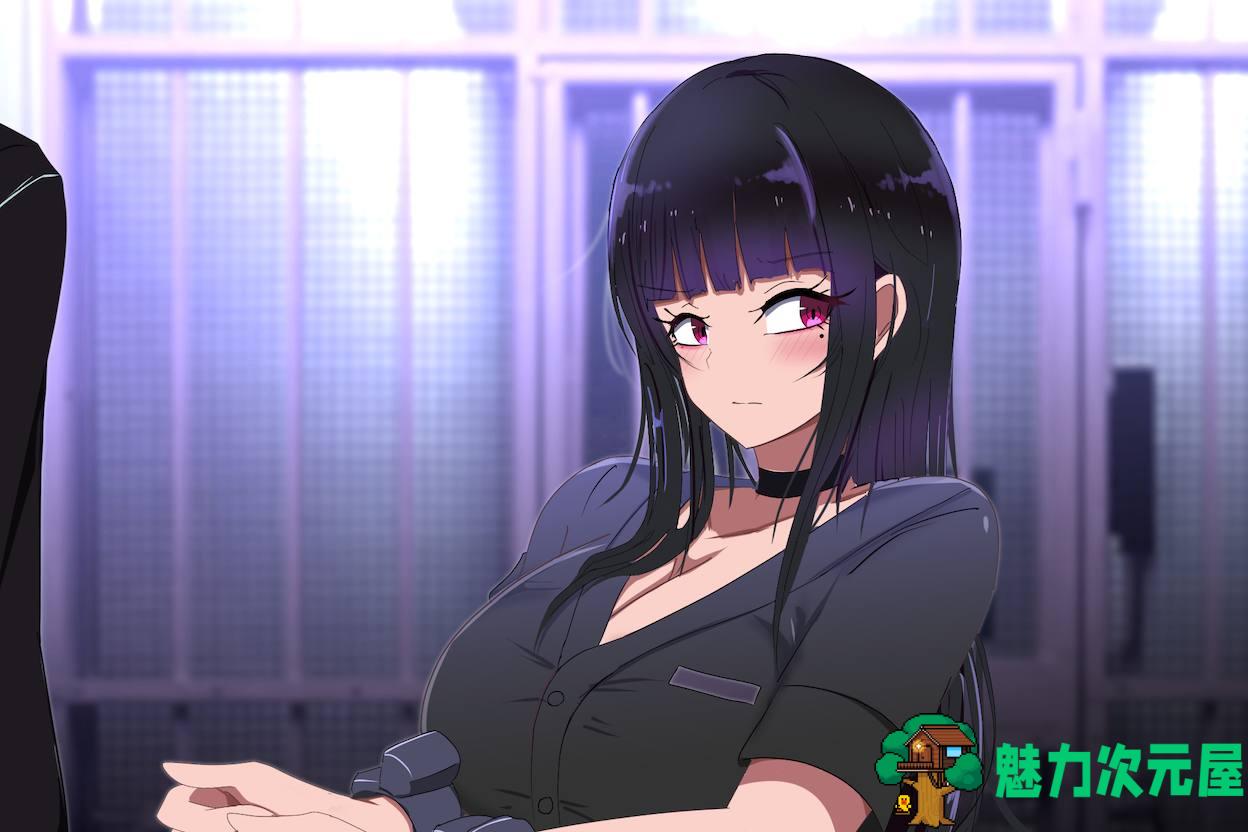 【RPG/中文/新作/1.1G】活体飞机杯工厂歼灭队【安卓+PC】官方中文步兵版+全CG存档+补