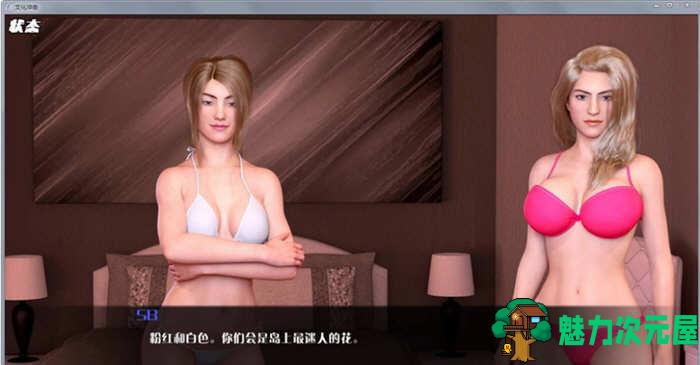 【安卓/PC/SLG/汉化版/2.1G】文化冲击(困惑) ver0.35 汉化版 PC+安卓 动态SLG游戏 2.1G