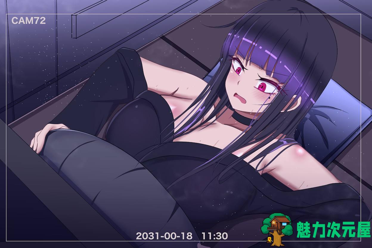 【RPG/中文/新作/1.1G】活体飞机杯工厂歼灭队【安卓+PC】官方中文步兵版+全CG存档+补