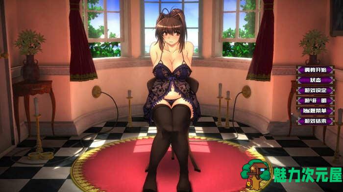 【PC/11G/CG】优艳之花续：银缚之馆（优艶の花 続 银缚の馆） 精修汉化步兵修复版+全CG+存档+去码版+11G+更新