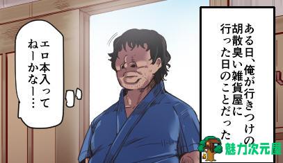 【安卓/PC/汉化版/1.2G/RPG】时间停止幻想乡/时停幻想乡 精翻汉化版 PC+安卓 RPG游戏 1.2G+补-魅力次元屋